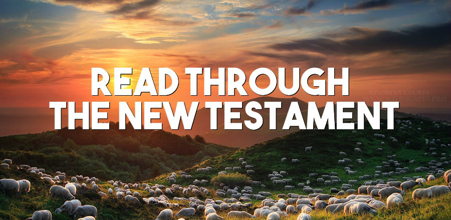 Read Through the New Testament